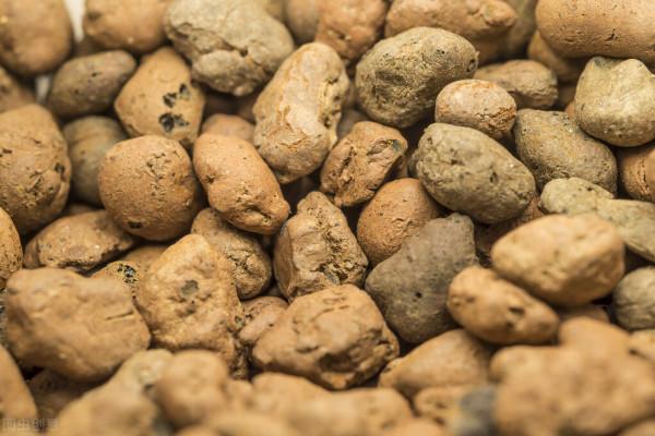 養花是個“無底洞”，能省就省，3種東西網購真的比實體店便宜