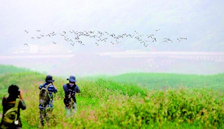 一個裝修施工佬的工地遐想：Bobo關於裝修的東拉西扯之四