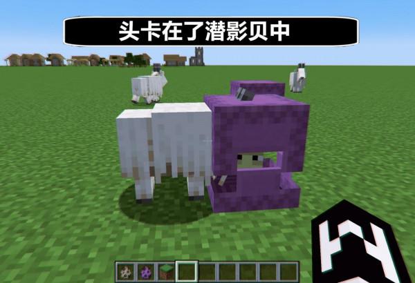 山羊的“頭”會卡在潛影貝？我的世界：關於山羊的20個秘密