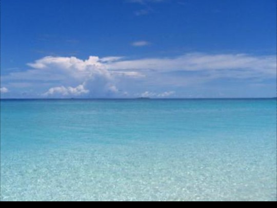 目睹姐姐的簡單葬禮，讓人心痛不已