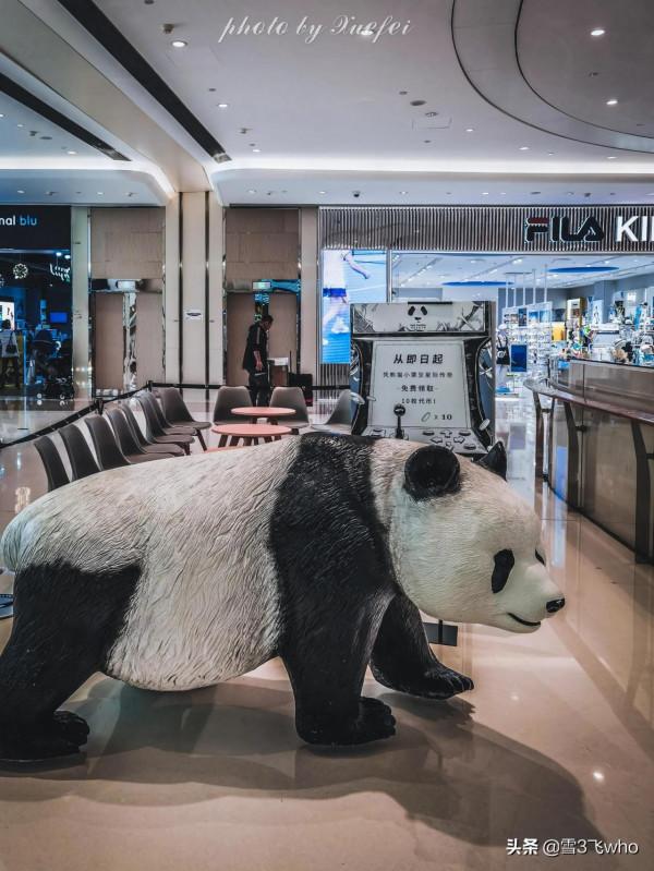 國寶喊你來吃fo鍋啦~熊貓老灶火鍋 國寶喊你來吃fo鍋啦~熊貓老灶火鍋