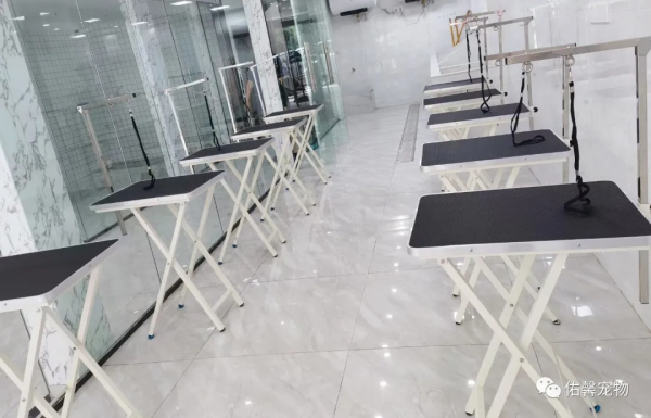 雷孃孃告訴你寵物美容師工作好不好