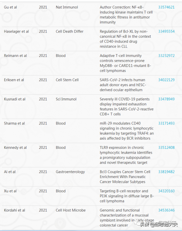 解析NF-κB訊號通路