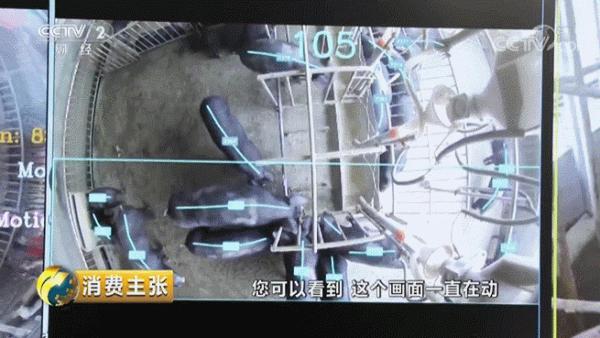 高射水炮澆地，無人機撒農藥…網友：又騙我種地