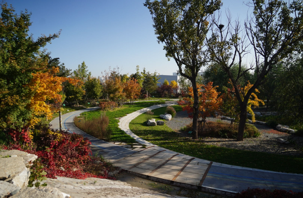 廣渠路邊秋意濃,水谷溼地公園迎首個秋天 廣渠路邊秋意濃,水谷溼地公園迎首個秋天