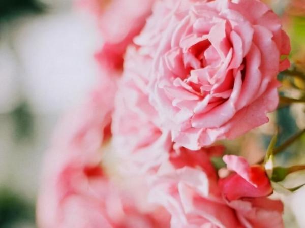 行動力不強，卻很有目標的星座，通往成功的道路上，一步一個腳印