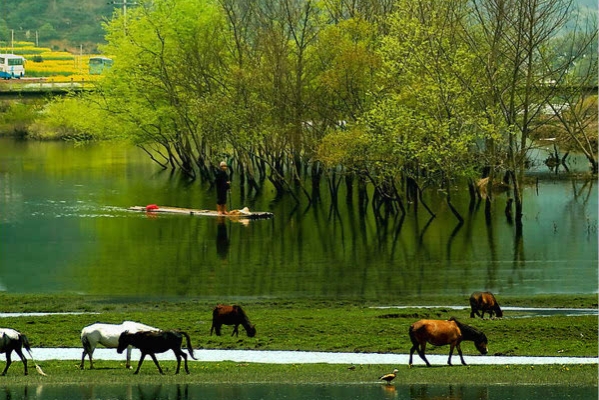 《菜根譚》：若是人生煩惱少，勸你牢記兩個字