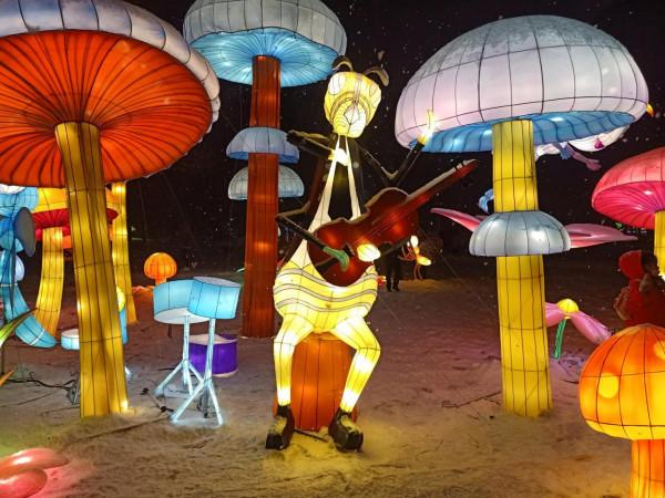 初一五植物園看花燈