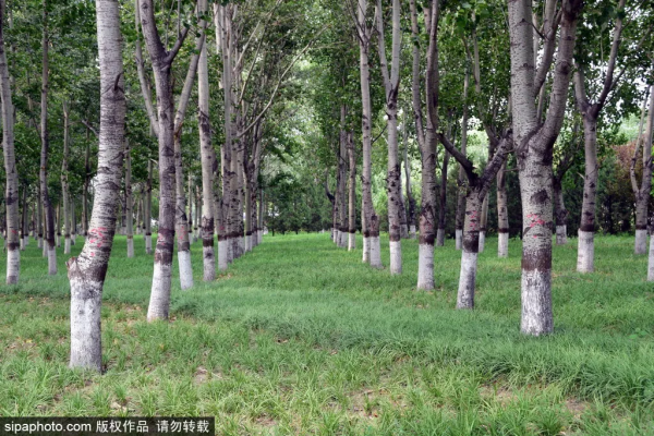 北京週末秋遊好去處，這些體育運動主題公園，人少又免費～