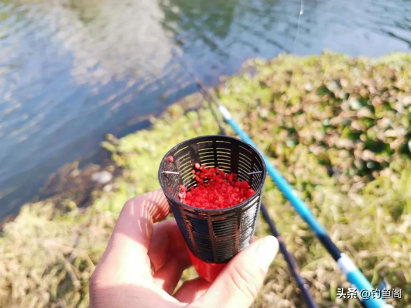 春釣灘最怕跑魚炸窩，胡亂補窩只會雪上加霜，老釣友都這樣做