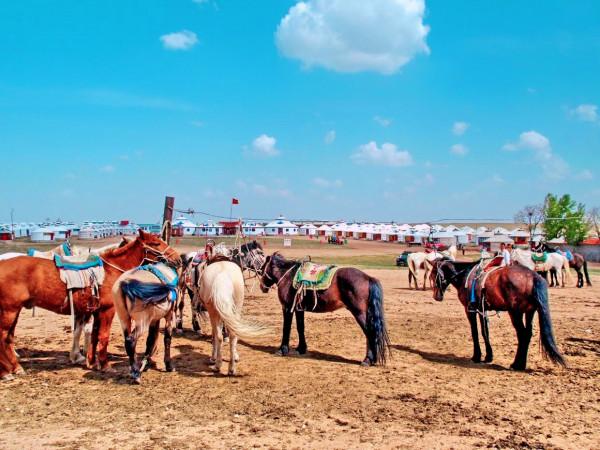 內蒙古有多長?直線距離超2400公里,網友:難怪快遞不包郵 內蒙古有多長?直線距離超2400公里,網友:難怪快遞不包郵