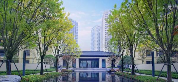 綠城：面對你的問題，我不會選擇沉默