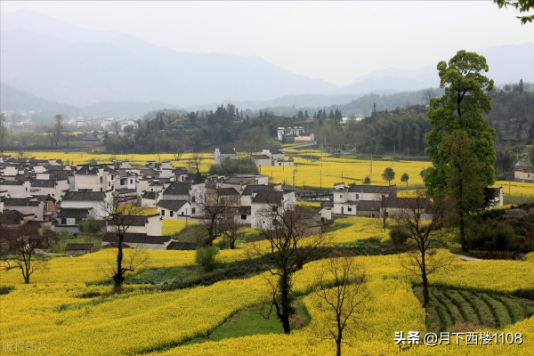 方向不對，努力白廢。從湘南一個小院走出三位將軍迥異的人生談起