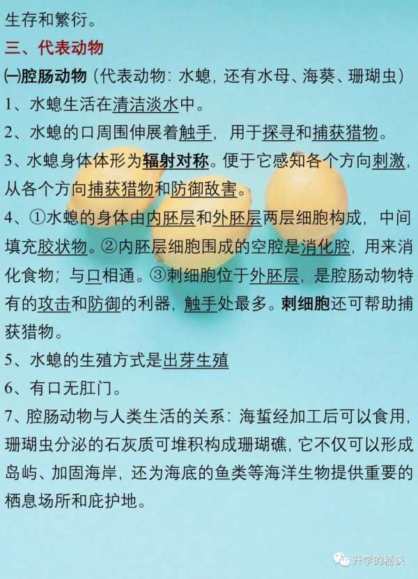 八年級生物上:全冊知識點總結,考點速記,建議為孩子收藏了 八年級生物上:全冊知識點總結,考點速記,建議為孩子收藏了