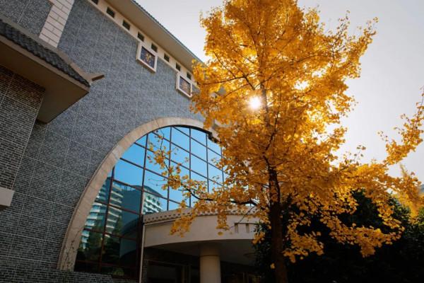 “雙減”後何去何從？答案！請跟著學校走