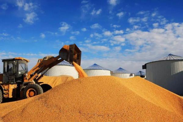 呼籲屯糧屯菜引爭議，打工人沒實力屯，有助於疫情防控和農民增收