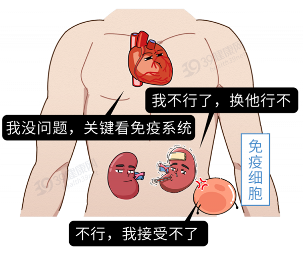 “胎盤”產業鏈曝光,價格不菲!食用人類胎盤,養生還是作死? “胎盤”產業鏈曝光,價格不菲!食用人類胎盤,養生還是作死?