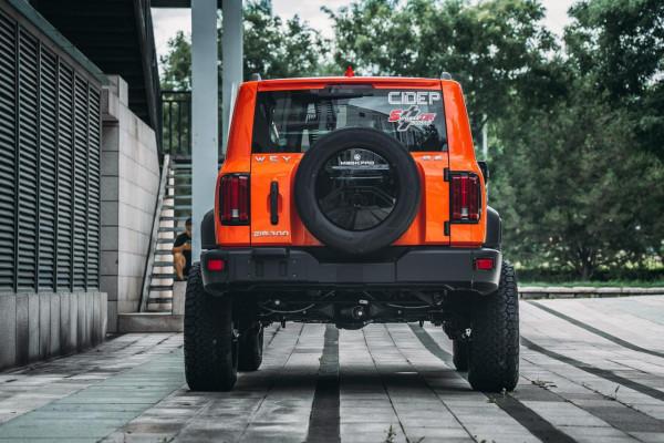 越野老炮的最愛門式橋 玩越野最終繞不過去的利器