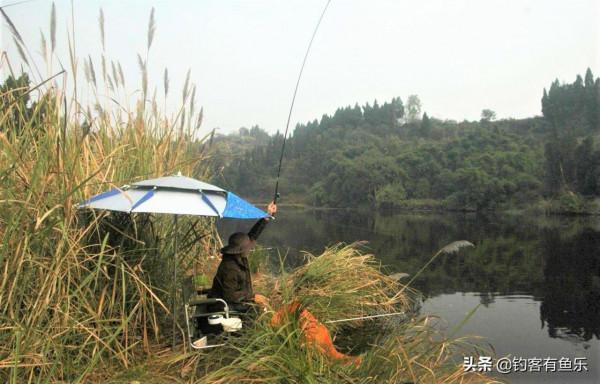釣魚打窩不等於做窩，窩做得好，釣大魚可連竿