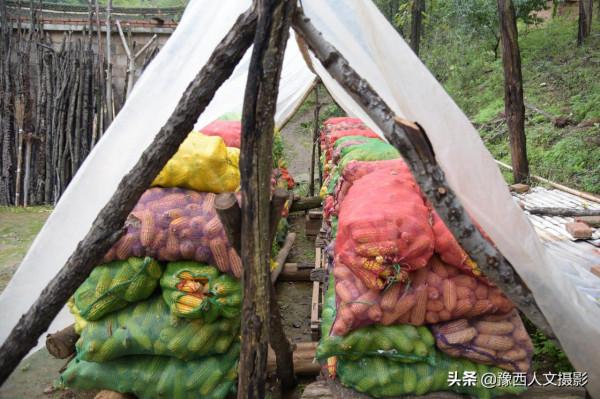 山村老兩口活力旺盛，跟天鬥、跟野畜鬥，偶爾還跟兒子鬥一鬥