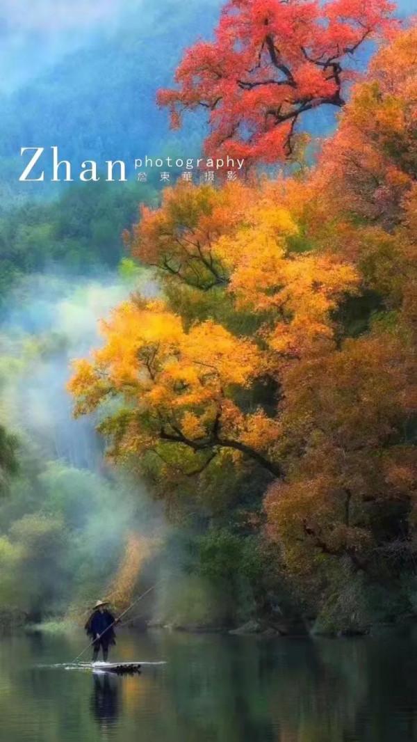 原來這時候才是婺源的顏值巔“楓”，錯過了要再等一年