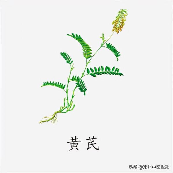 藥性歌括四百味、黃芪 藥性歌括四百味、黃芪