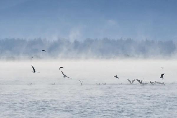 快來，瀘沽湖的冬日精靈，想和你交個朋友！