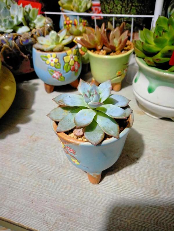 這天氣變的真快