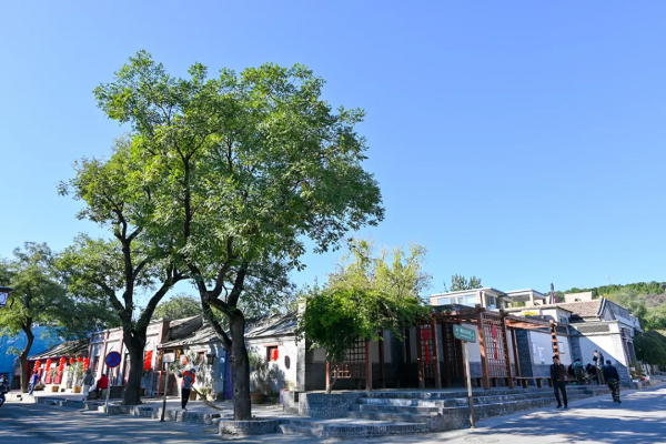 模式口大街,感受千年古道!別有一番風景 模式口大街,感受千年古道!別有一番風景