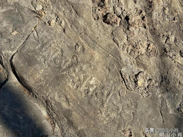 探尋拍攝包頭固陽縣銀號鏨字石刻