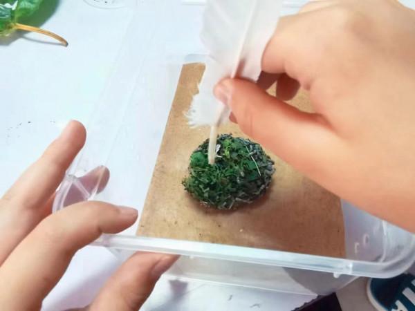 和孩子一起讀書,養昆蟲,認識大自然 和孩子一起讀書,養昆蟲,認識大自然