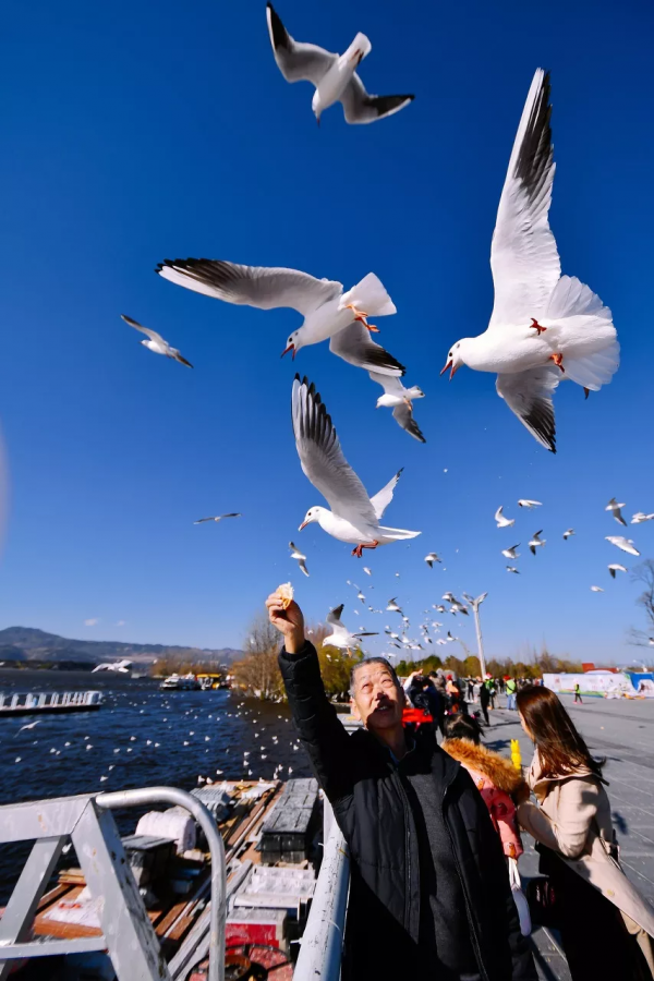 雲南恢復跨省遊！2021年最後兩週，我們該去雲南看看另一種冬天