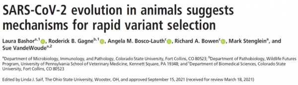 PNAS|新冠病毒的快速突變,結果好壞難預測 PNAS|新冠病毒的快速突變,結果好壞難預測