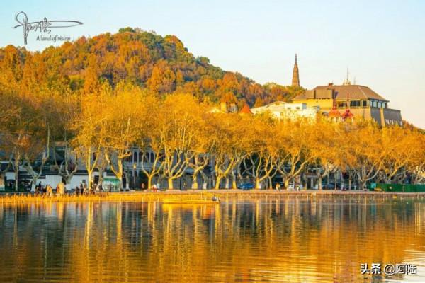 孤山的冬天,沒有層林盡染,卻照樣秋意盎然 孤山的冬天,沒有層林盡染,卻照樣秋意盎然