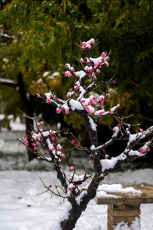 大雪冬深，獨釣寒江，讀懂了，才懂中年人的孤寂