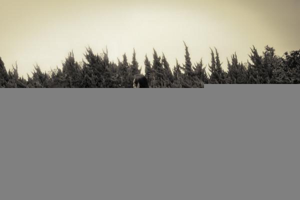 姑姥姥一家百年史:愛情裡有情人難成眷屬,紈絝子意滿志得(59) 姑姥姥一家百年史:愛情裡有情人難成眷屬,紈絝子意滿志得(59)