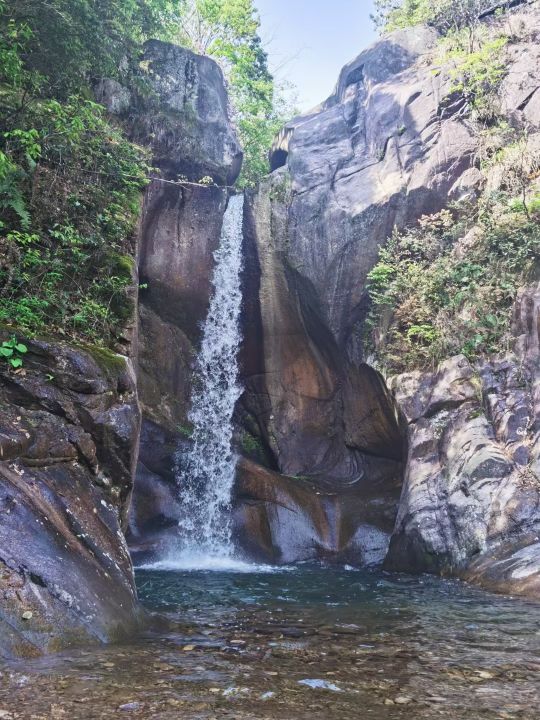 養貓新手半年經驗談