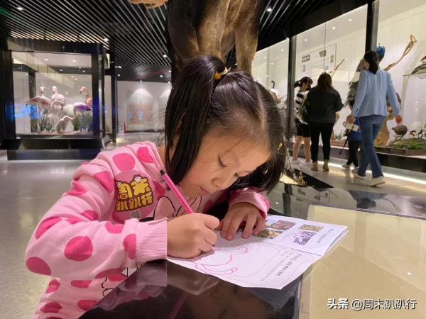 親子打卡!科學探索,細菌好有趣啊,參觀1000+件標本 親子打卡!科學探索,細菌好有趣啊,參觀1000+件標本