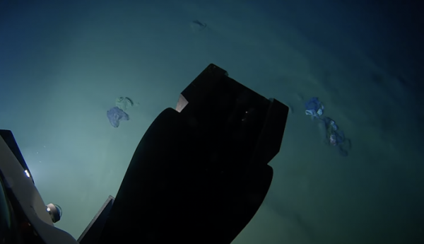 阿爾卑斯山發現大量塑膠微粒，人類的最終走向是什麼？