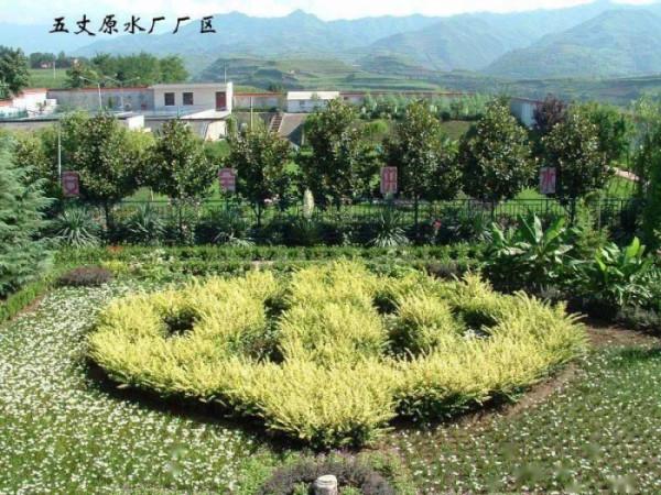 周總理嘉獎的岐山五丈原引水上原工程