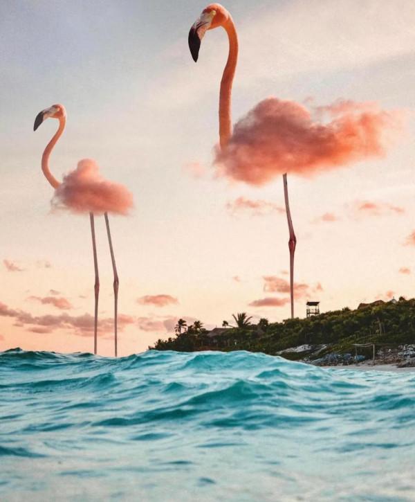 讓巨物愛好者狂喜