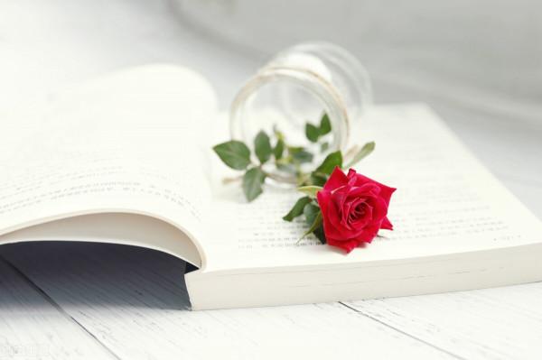 選擇永遠大於努力,無論婚姻、事業、合作伙伴,還是擇友擇校買房 選擇永遠大於努力,無論婚姻、事業、合作伙伴,還是擇友擇校買房