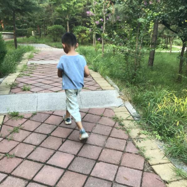 為什麼現在問題兒童那麼多？缺少接觸大自然的機會是原因