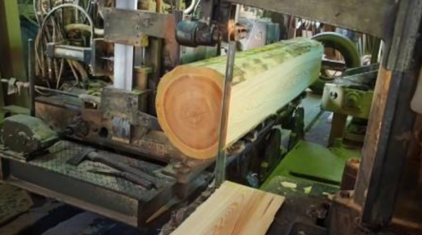 逆襲為百億富豪的秦榮華，從日本買10000根木頭：這本就是中國的