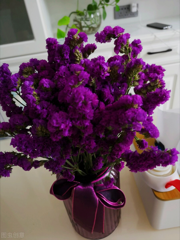 一花一世界、一佛一如來、失眠睡不好，選棵氧氣花 香豔又安神