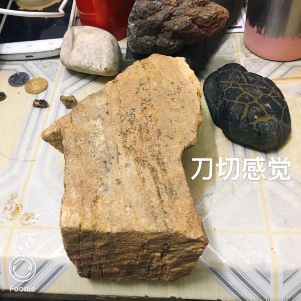 月亮積層巖隕石已被發現