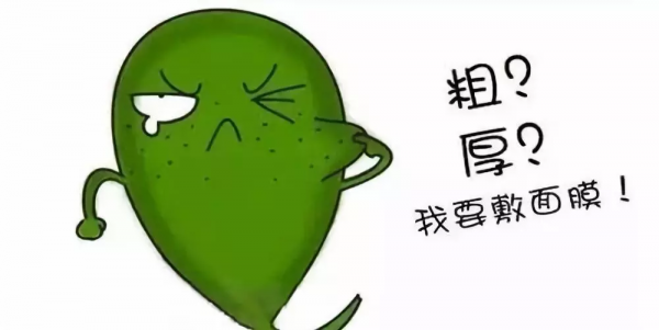 膽囊控訴：主人！膽結石都是你自己造成的，不要甩鍋給我