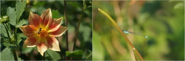 走!上小毛驢農園租地種菜去~ 走!上小毛驢農園租地種菜去~