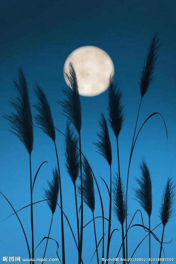 恐懼死亡,只因為我們太聰明 恐懼死亡,只因為我們太聰明