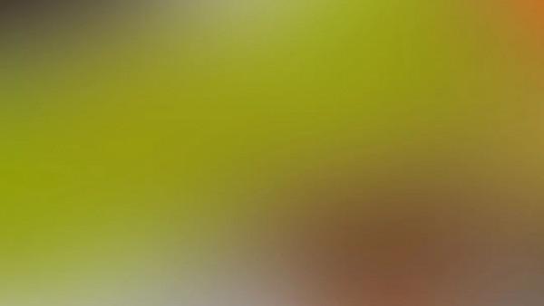 全國秋天神仙菜市場大賞 全國秋天神仙菜市場大賞